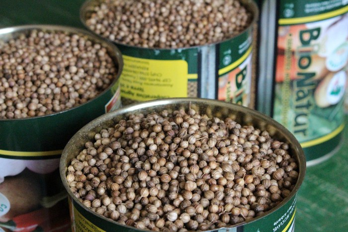 Rede Bionatur também produz cerca de 100 variedades de sementes crioulas, 33 tipos de grãos, 15 de forrageiras e 12 de flores