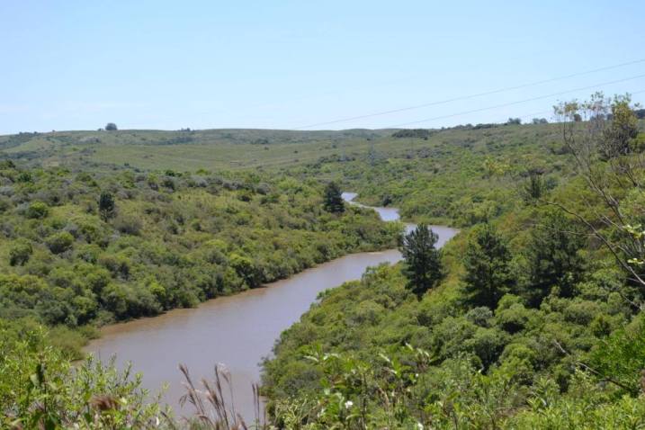A nova usina ficará na divisa com a Capital Nacional do Carvão e utilizará água do arroio Candiota
