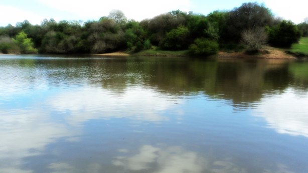 Empresa alega que rio Camaquã não sofrerá nenhum tipo de dano, argumento que é rebatido por ambientalistas
