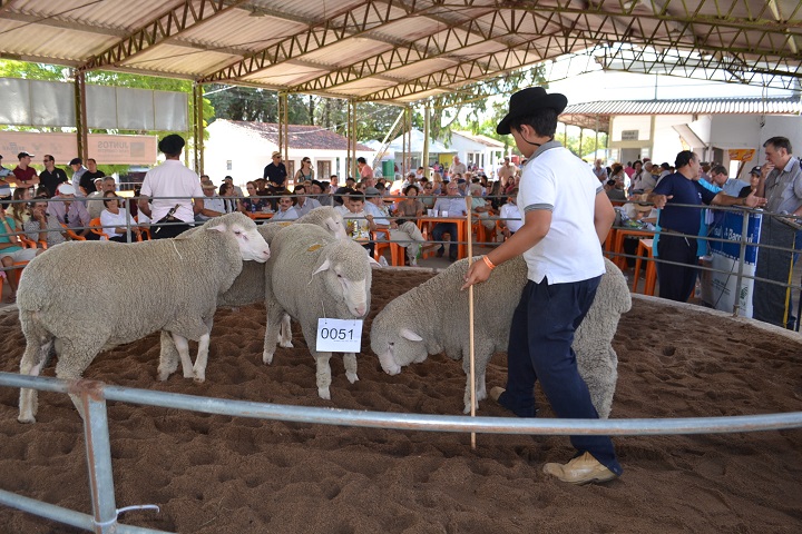 No ano passado foram vendidos apenas 1.460 animais, enquanto que em 2014 foram 7.900