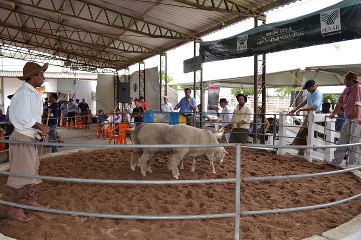 Evento acontecerá somente com foco na comercialização de ovinos