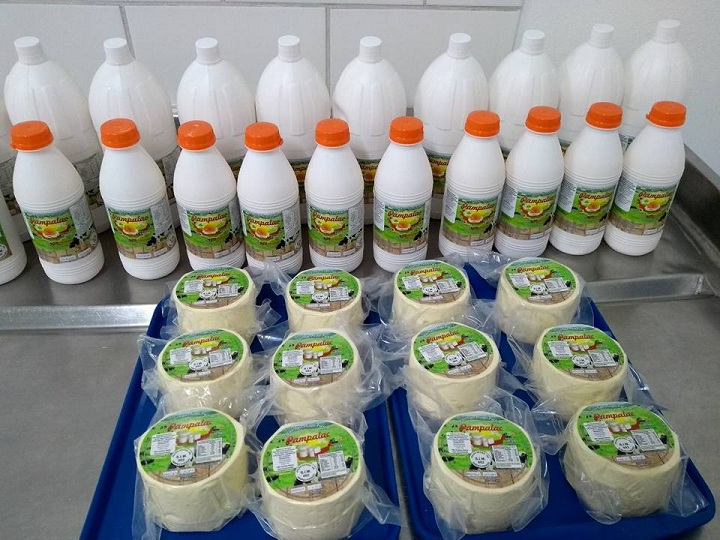Queijos, iogurtes e bebidas lácteas estão entre os produtos que já podem ser encontrados em supermercados e padarias