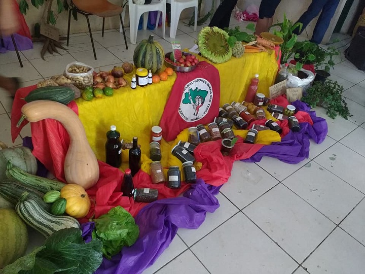 Associação trabalha na produção de alimentos orgânicos e qualidade de vida