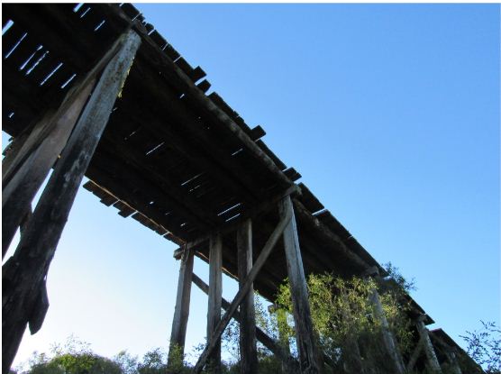 Ponte em madeiras apresenta diversos problemas estruturais