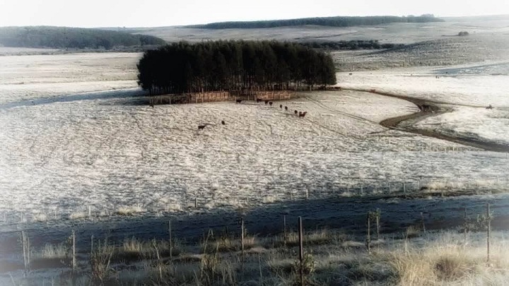 Há exatamente um ano, o registro feito na Estância Guarda Velha,  onde é produzido o Azeite Batalha, marcava o início do inverno 