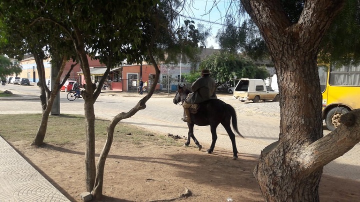 Trânsito de animais na avenida principal da cidade é um dos pontos de discussão do projeto