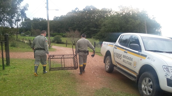 Polícia Ambiental realizou a apreensão das gaiolas