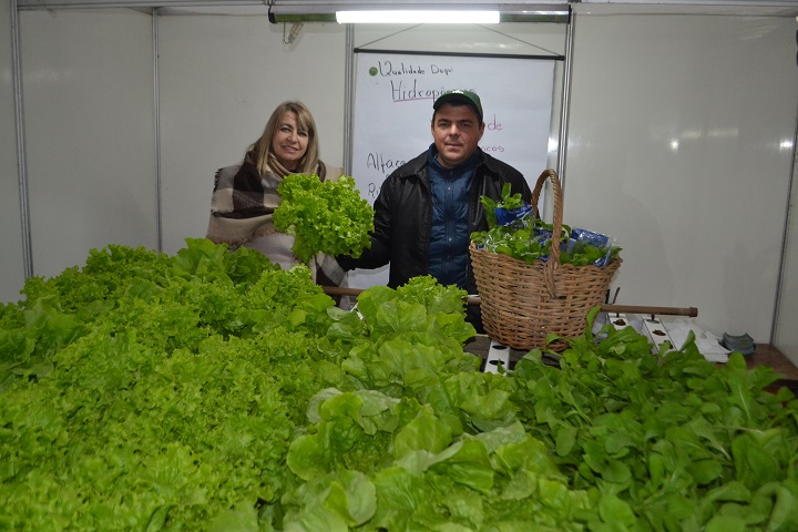 Alfaces e rúculas hidropônicas podem ser encontradas na área comercial